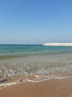 Stroll Along the While Sandy Coastline